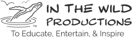In the Wild Productions Logo